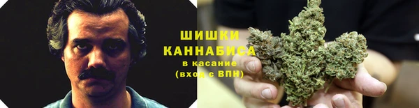 бошки Вяземский