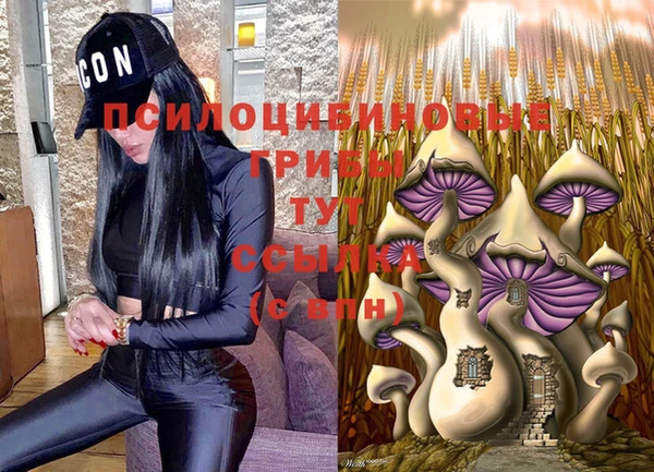 прущая мука Вязьма